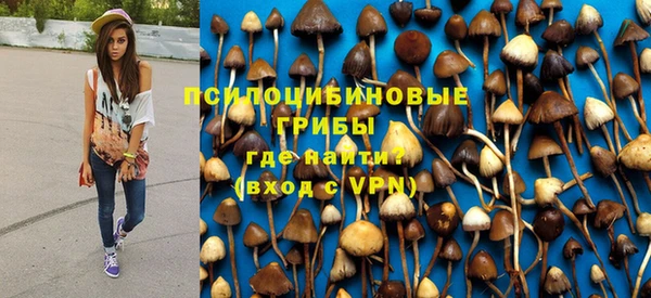 2c-b Богородск
