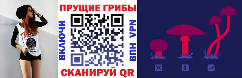 где найти наркотики  Крымск  Псилоцибиновые грибы Magic Shrooms 